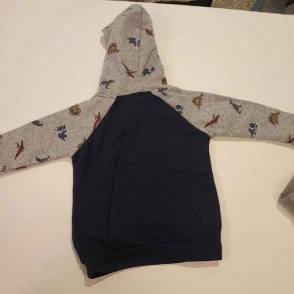 Free Plant Baby Boy 2 Piece Dinosaur Theme Hoodie and Jogger Set in Size 24M - Picture 7 of 10